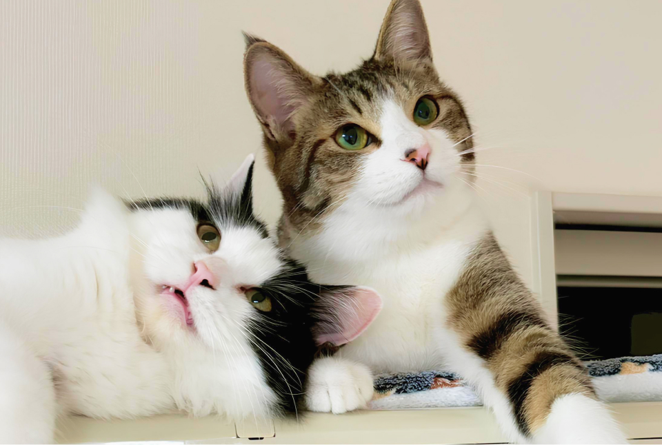 concept detail vis 01