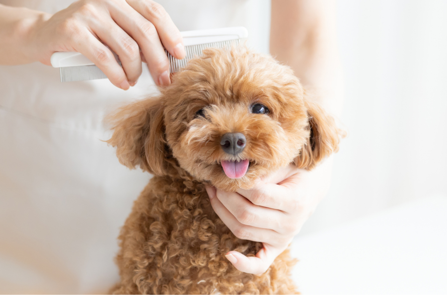 メインビジュアル2