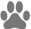 dog icon black