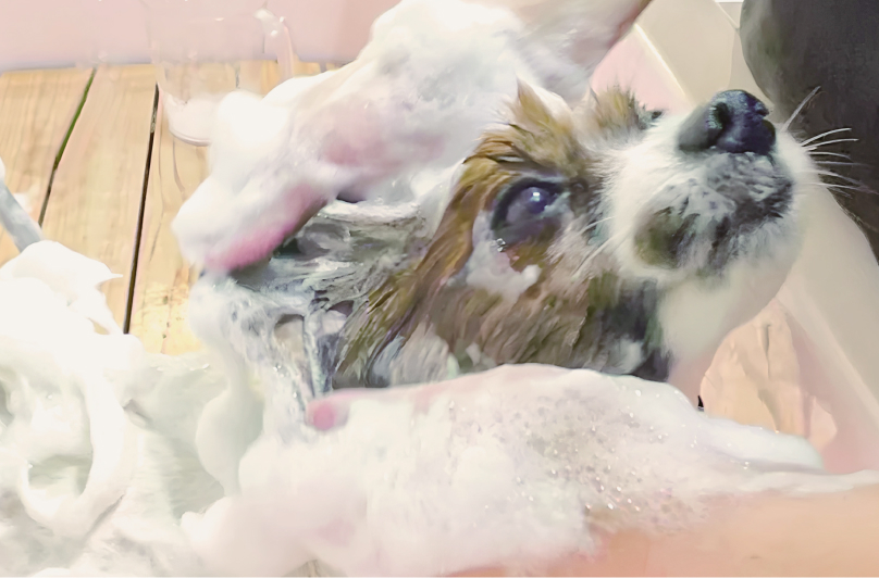 サブビジュアル1